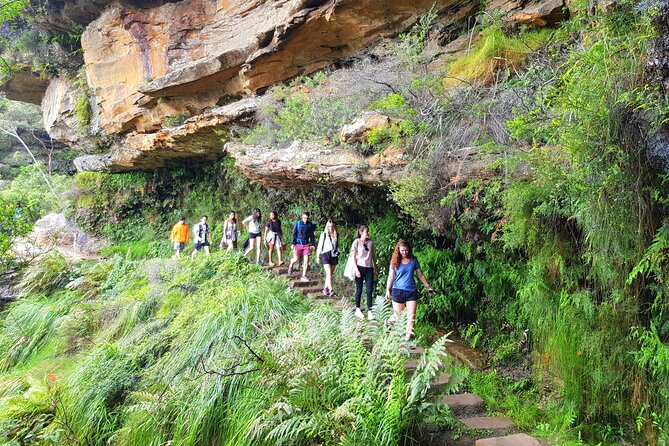 Blue Mountains Small Group Tour with Waterfall Walk & Fresh Lunch - Wentworth Falls and the serious part of the day
