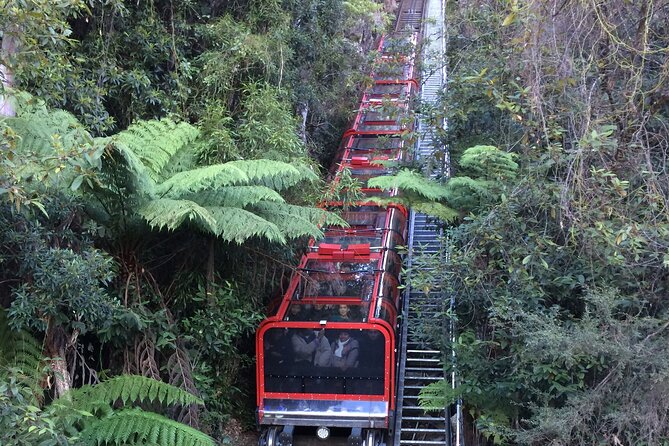 Blue Mountains Tour PRIVATE with Wildlife Park and River Cruise - Scenic World: the main optional expense