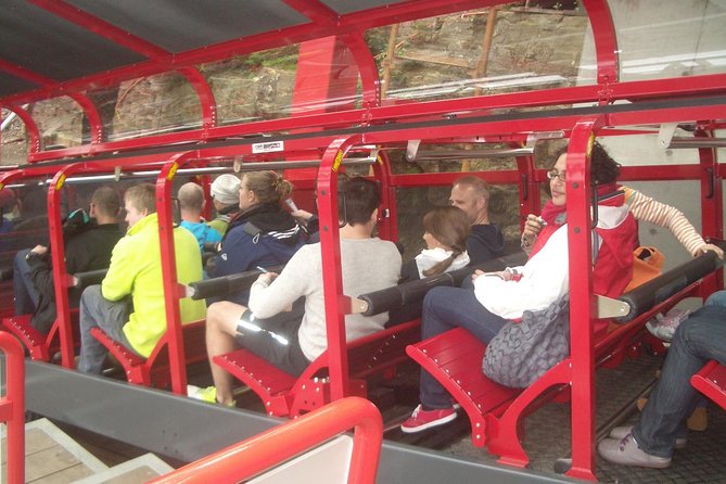 Blue Mountains Tour PRIVATE with Wildlife Park and River Cruise - Australian animals at the wildlife park