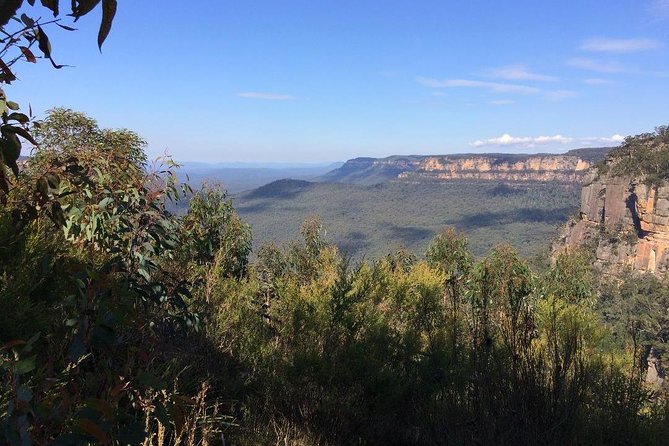 Blue Mountains Tour PRIVATE with Wildlife Park and River Cruise - Returning by ferry to the Opera House