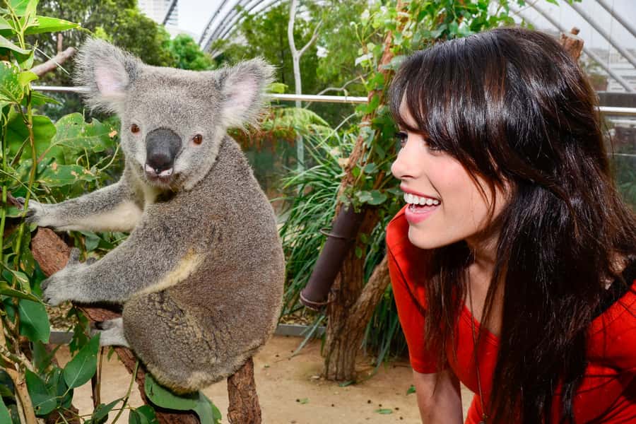 Breakfast with Koalas at WILD LIFE Zoo Darling Harbour - Practical Tips for a Smoother Morning