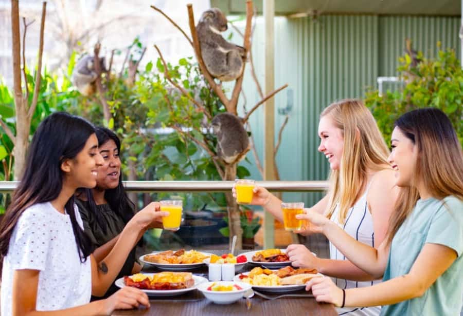 Breakfast with Koalas at WILD LIFE Zoo Darling Harbour - 7:30 to 8:30: A Keeper-Led Tour Through Australian Wildlife
