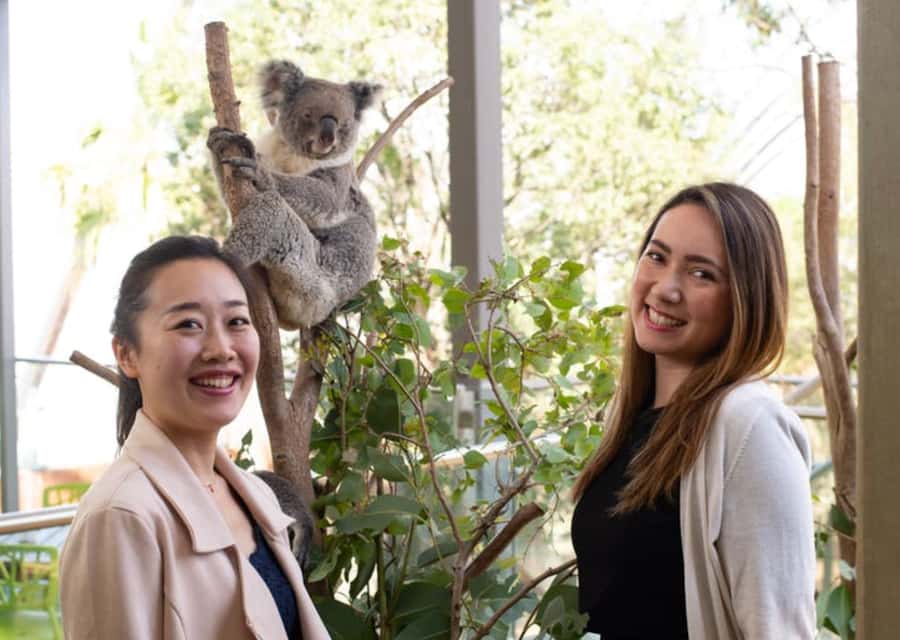 Breakfast with Koalas at WILD LIFE Zoo Darling Harbour - 7:15 to 7:30: Registration and Tea