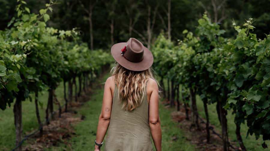 Brisbane: Boutique Winery Tour with Gourmet Lunch - Why Tamborine Mountain makes a good wine day