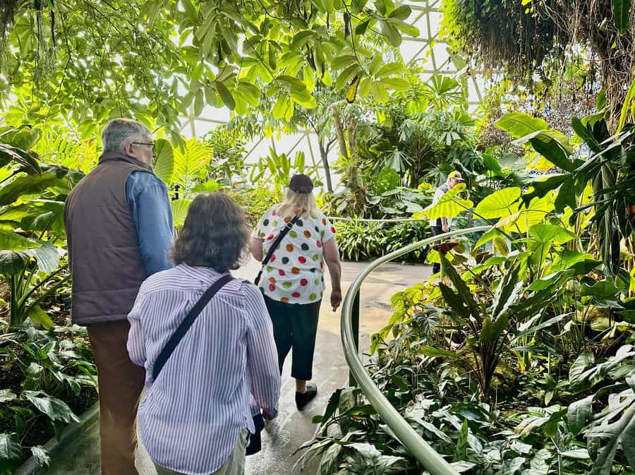 Brisbane Bus Tour: City highlights | Small group | Snack - Mount Coot-tha and the Botanic Gardens