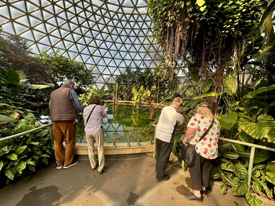 Brisbane Bus Tour: City highlights | Small group | Snack - Brisbane Powerhouse and the return downtown