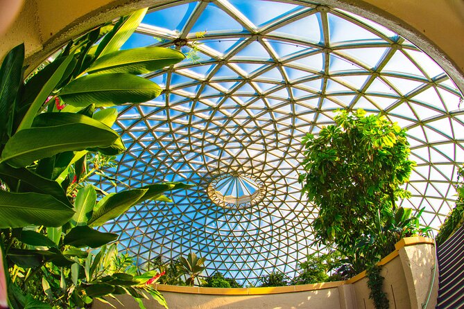 Brisbane Bus Tour: Max 10 people | Half Day | Morning tea inc. - A smart first morning in Brisbane