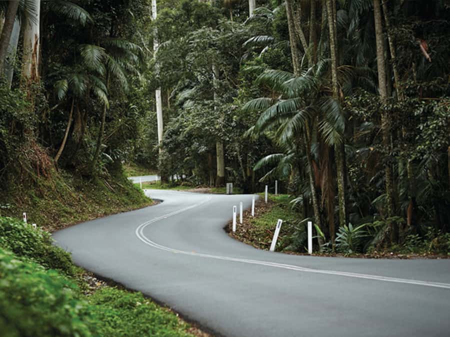 Brisbane: Daytime Glow Worm Caves Hop-on Hop-off Bus Tour - The daytime cave is the tour’s unusual centerpiece