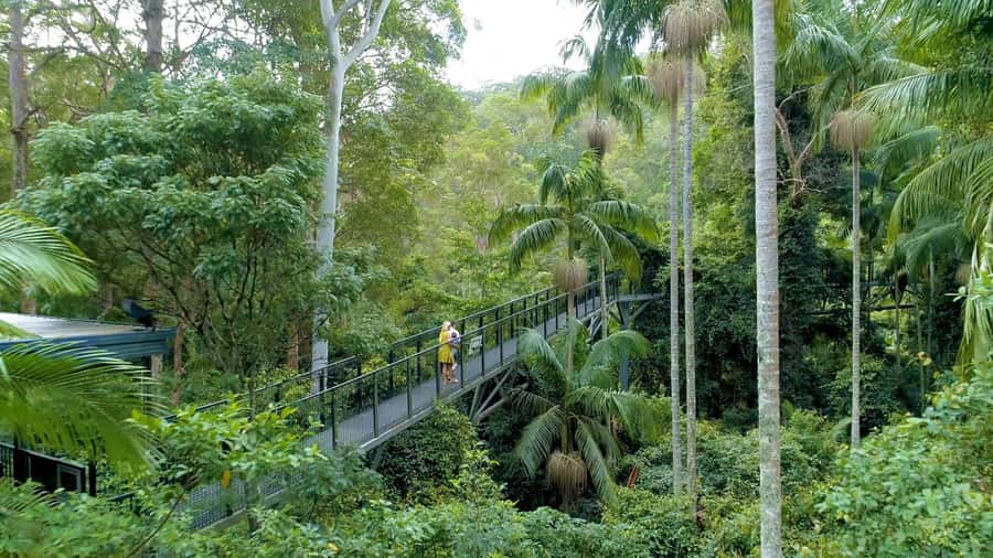 Brisbane: Daytime Glow Worm Caves Hop-on Hop-off Bus Tour - Scenic Rim viewpoints are easy photo stops
