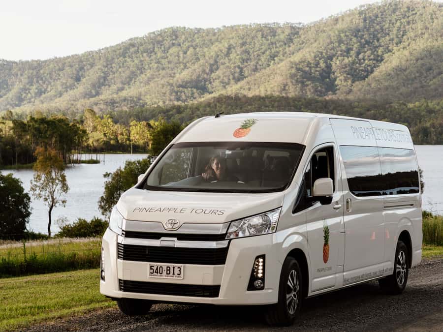 Brisbane: Daytime Glow Worm Caves Hop-on Hop-off Bus Tour - The one-hour ride from Brisbane sets the scene