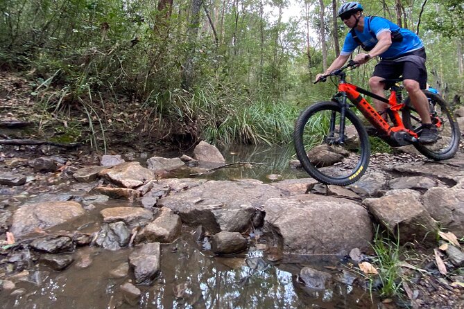 Brisbane Electric Mountain Bike Experience Tour - Regular mountain bike or electronic mountain bike