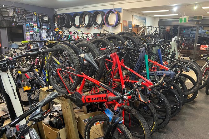 Brisbane Electric Mountain Bike Experience Tour - Is the $135.56 price fair?