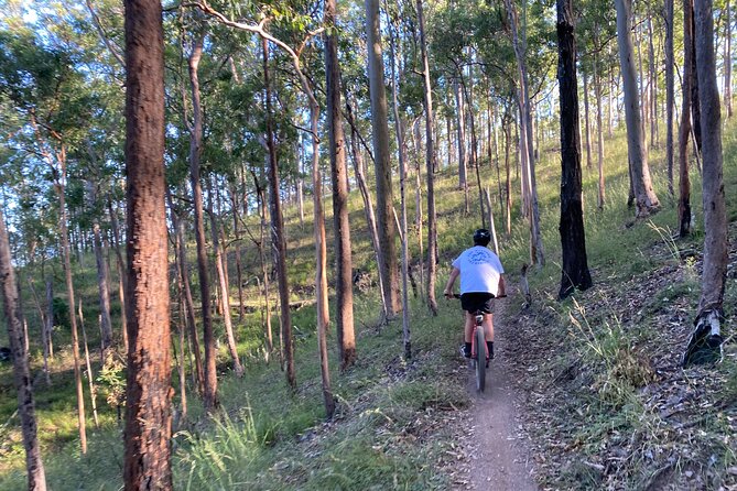 Brisbane Electric Mountain Bike Experience Tour - Booking, transport, and cancellation details