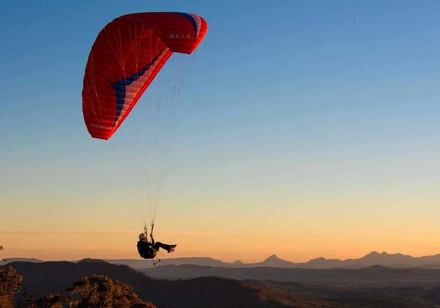 Brisbane: Hop on Hop off Bus to Tamborine Mountain - Thunderbird Park and other special-interest stops