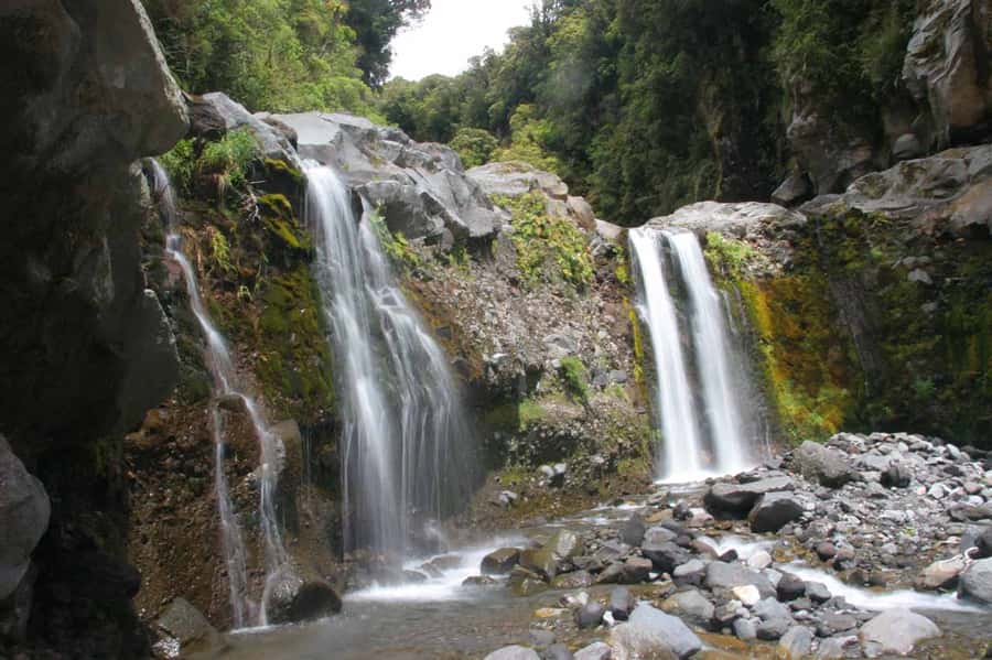 Brisbane: Hop on Hop off Bus to Tamborine Mountain - What the $70 price really covers