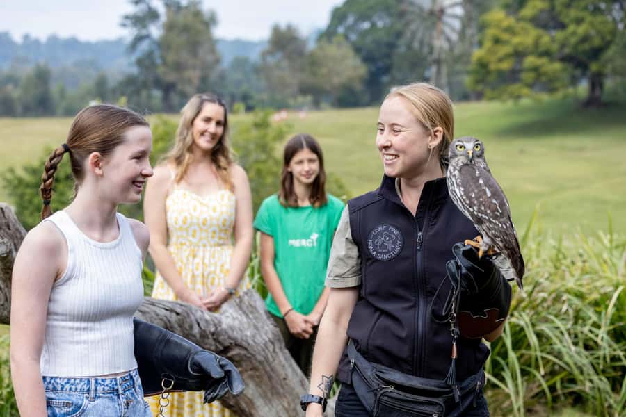 Brisbane: Lone Pine Koala Sanctuary Day Pass - The grounds make the day feel calm