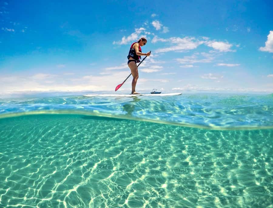 Brisbane: Moreton Island Return Ferry & Adventure Day Pass - Three hours to kayak, snorkel, or both