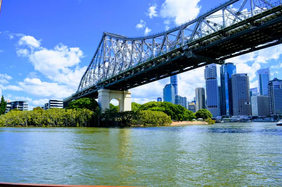 Brisbane: Morning Sightseeing Cruise: 10:30am-12pm (90min) - Meeting the MV Neptune at South Bank