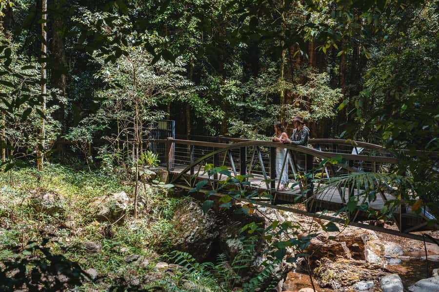 Brisbane: Rainforests, Waterfalls and Glow Worm Cave Tour - Key points at a glance