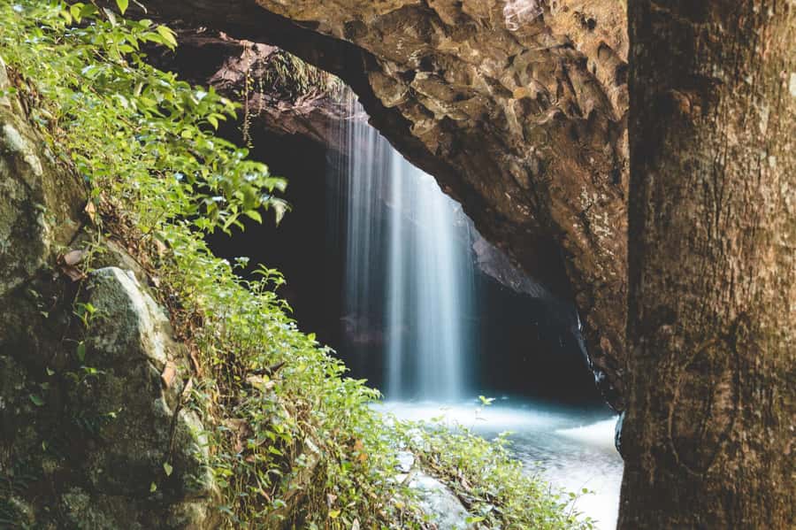 Brisbane: Rainforests, Waterfalls and Glow Worm Cave Tour - Why this Brisbane day trip works
