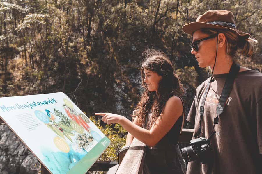 Brisbane: Rainforests, Waterfalls and Glow Worm Cave Tour - Cedar Creek Glow Worm Caves