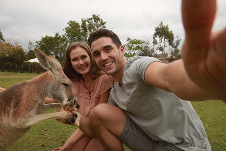 Brisbane River Cruise and Koala Sanctuary Visit - Finding the boat at South Bank