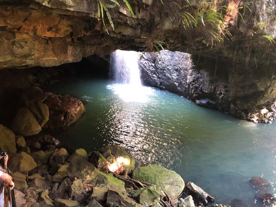 Brisbane: Springbrook and Mt Tamborine Glow Worm and Skywalk - Why this makes a good Brisbane day trip
