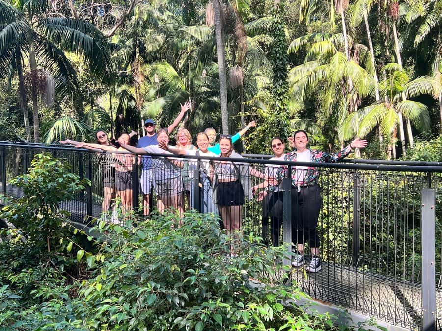 Brisbane: Springbrook and Mt Tamborine Glow Worm and Skywalk - Scenic Rim roads and Tamborine Mountain views
