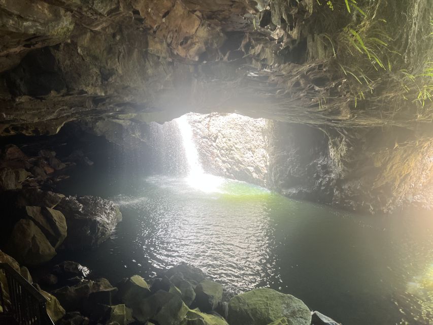 Brisbane: Springbrook and Mt Tamborine Glow Worm and Skywalk - The glow worm cave: fascinating, but know what you are booking