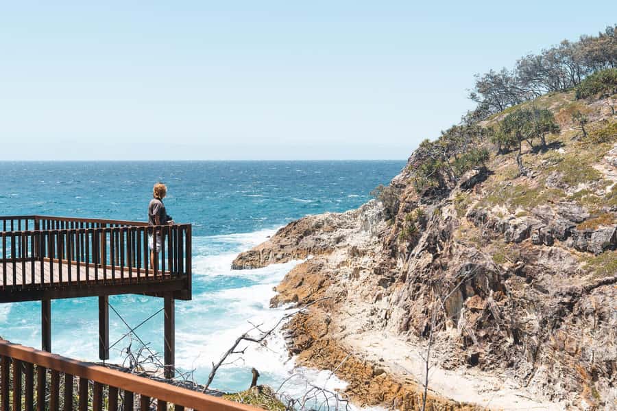 Brisbane: Stradbroke Island Eco Tour - Small Group, Full Day - North Gorge Walk is the day’s main walk