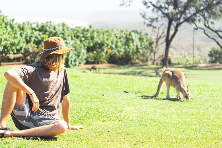 Brisbane: Stradbroke Island Eco Tour - Small Group, Full Day - The 45-minute ferry across Moreton Bay