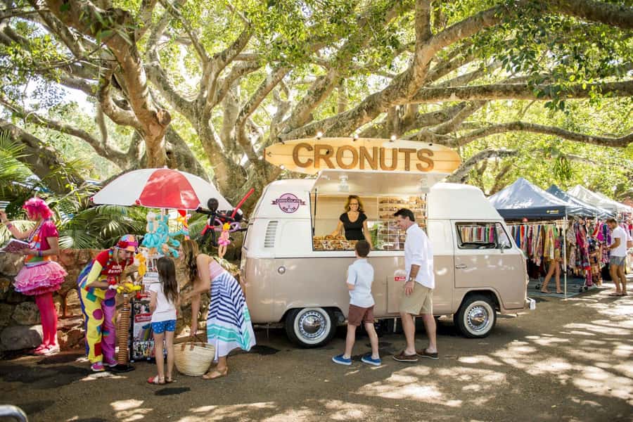 Brisbane: Sunshine Coast Hinterland & Noosa Scenic Tour - Mary Cairncross Scenic Reserve and the Glass House Mountains