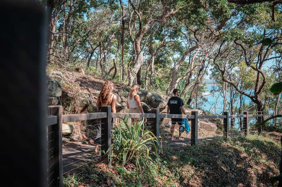 Brisbane: Sunshine Coast Hinterland & Noosa Scenic Tour - From Brisbane Skytower to the Blackall Range