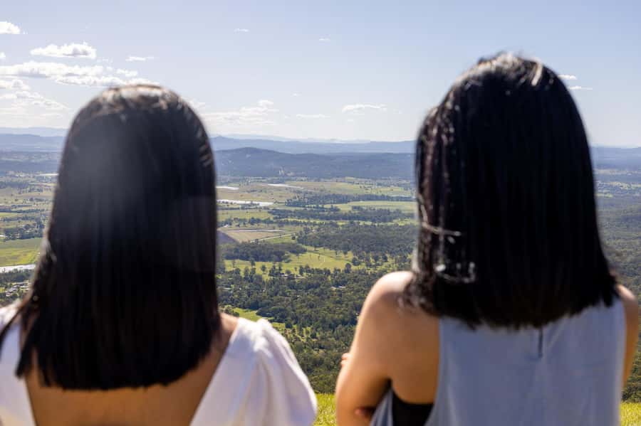 Brisbane: Tamborine Mountain Local Winery Tour with Lunch - Scenic lookouts add more than a photo stop