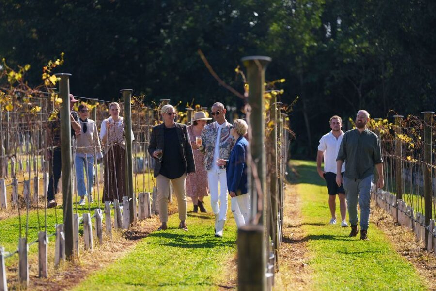 Brisbane: Tamborine Wine & Distillery Tour - A scenic lookout adds more than a photo stop