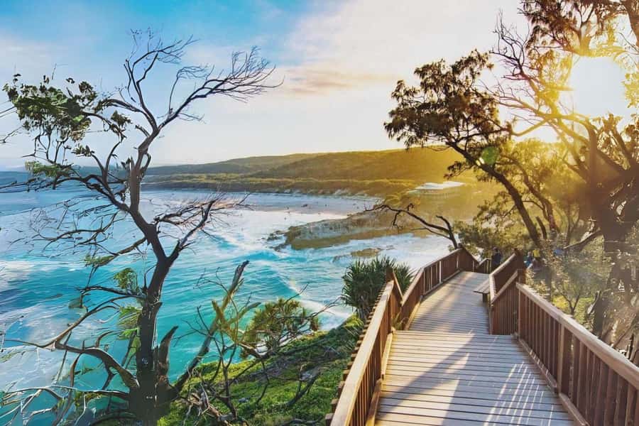 Brisbane to North Stradbroke Island Day: Wildlife & Beaches - Key points to know before booking