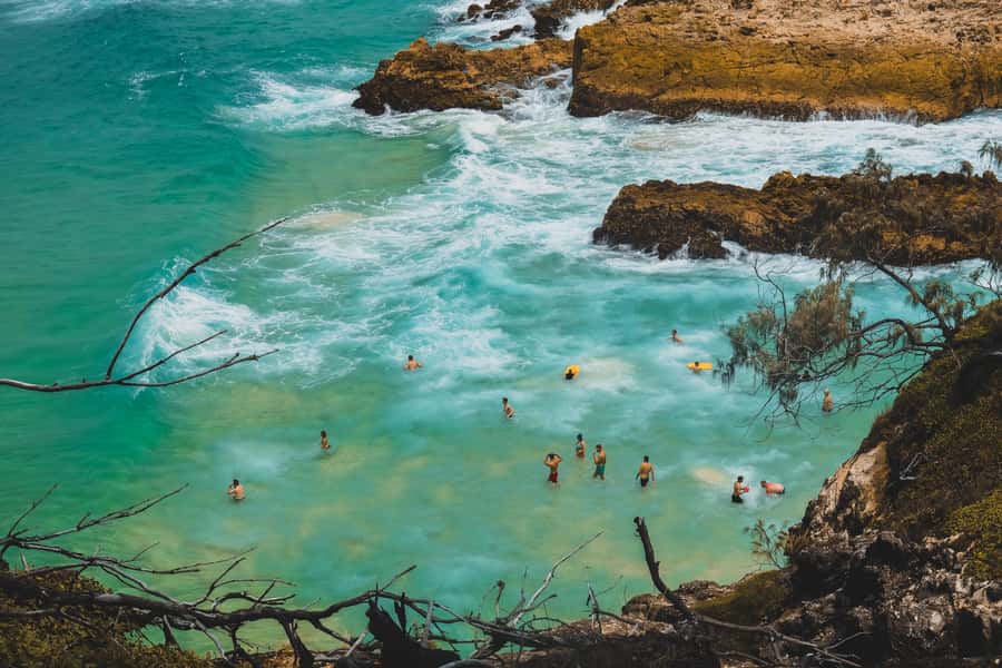 Brisbane to North Stradbroke Island Day: Wildlife & Beaches - What the day feels like in practice
