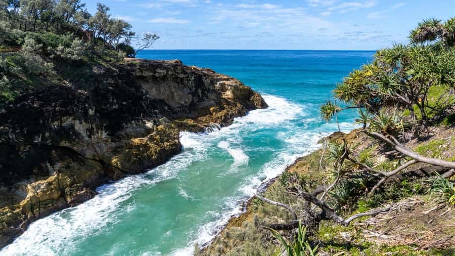 Brisbane to North Stradbroke Island Day: Wildlife & Beaches - Starting in Brisbane and crossing Moreton Bay