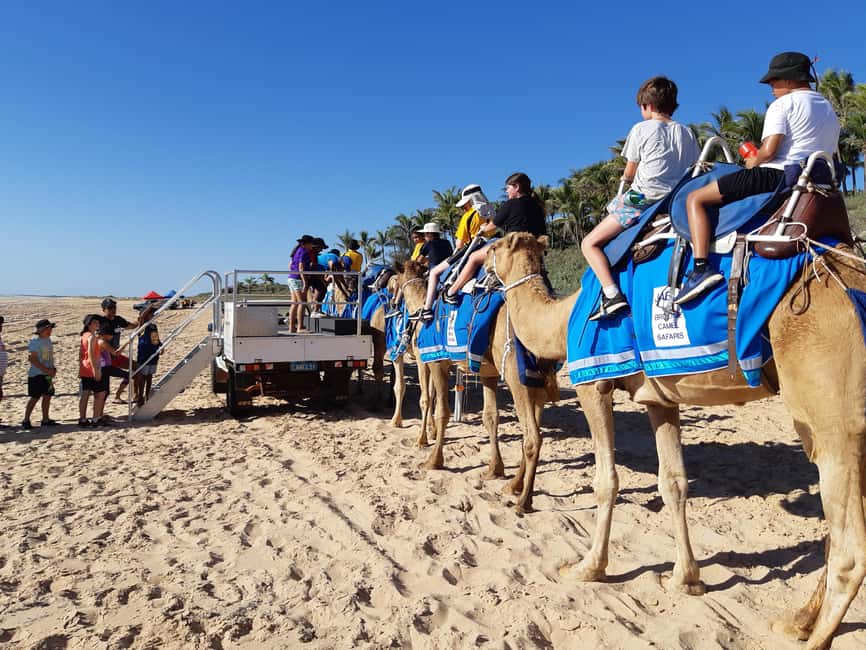 Broome: 45-Minute Pre-Sunset Cable Beach Camel Ride - Meeting the camels before the ride