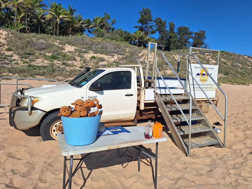 Broome: 45-Minute Pre-Sunset Cable Beach Camel Ride - Timing, season, and practical limits