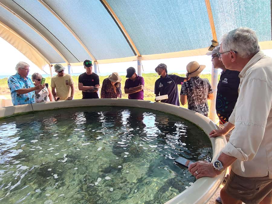Broome: Dampier Peninsula Tour (Optional Scenic Flight) - The key points at a glance