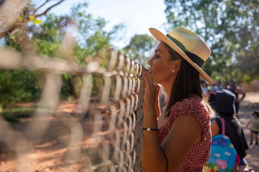 Broome: Malcolm Douglas Crocodile Park Tour with Transfers - Baby crocodiles and the conservation message