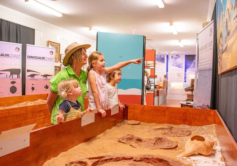 Broome: Matso's Brewery, Museum & Crocodile Park Combo Tour - How the transport and timing shape the day