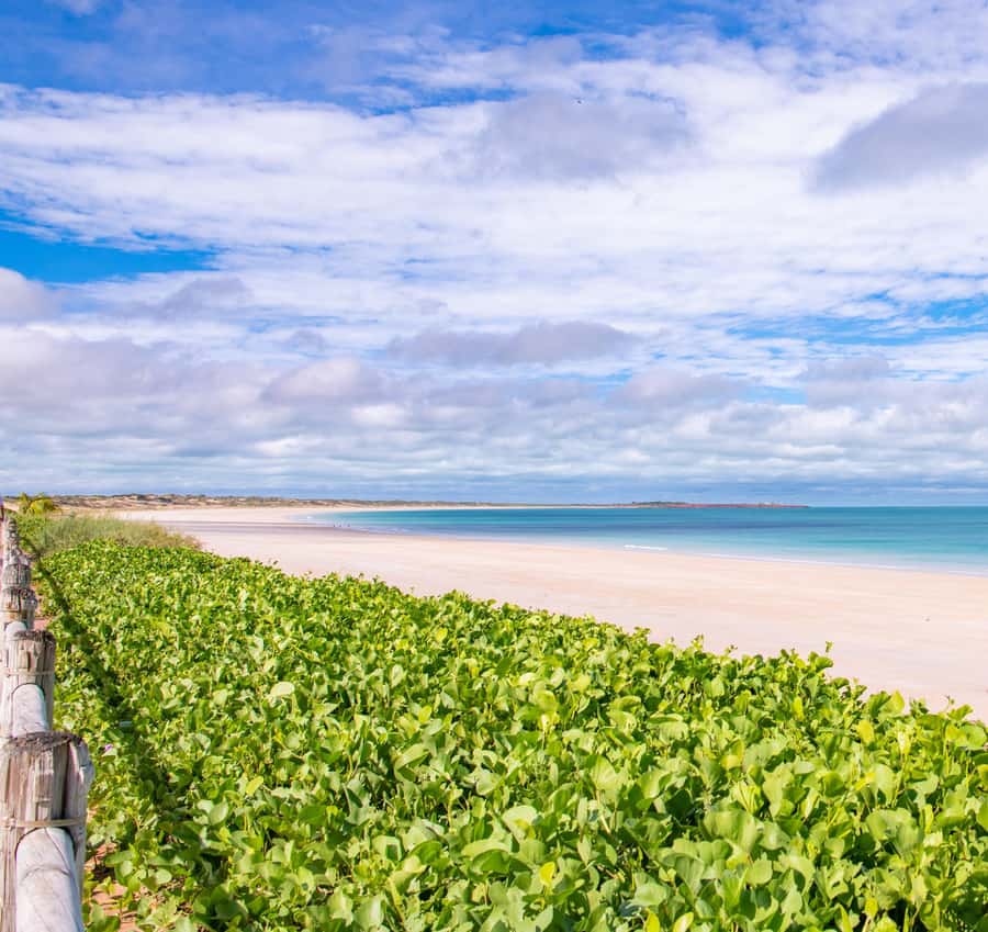 Broome: Panoramic and Discovery - Morning Tour w/ Transfers - Cable Beach and the story behind the view
