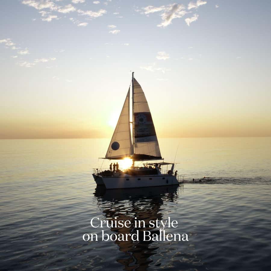 Broome's Iconic Catamaran Sunset Cruise - Canapés, grazing boards, and the licensed bar