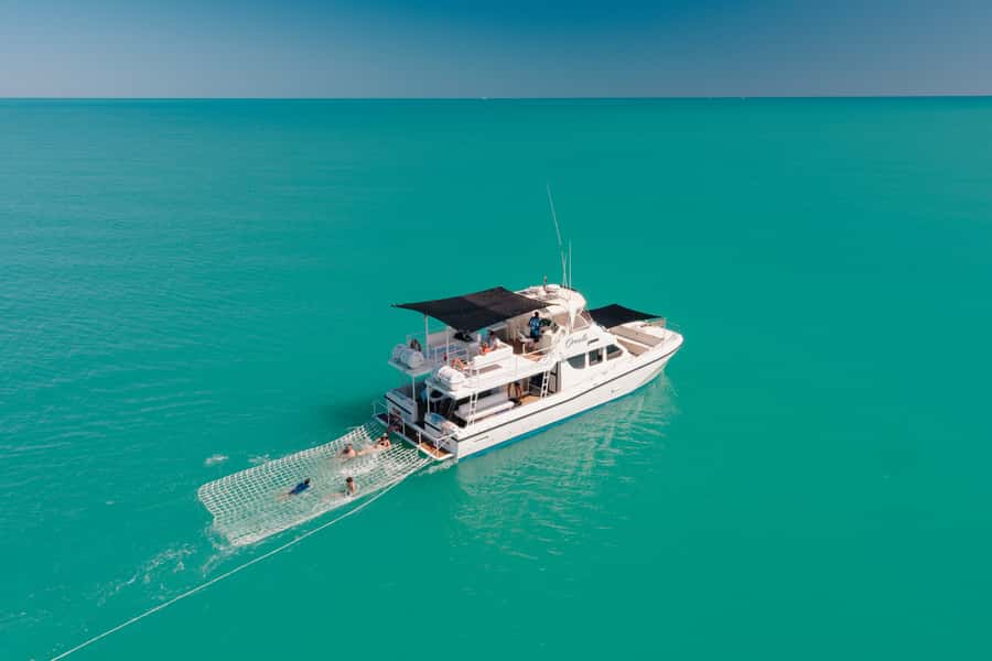 Broome: Snubfin Dolphin Cruises - Boom-net swimming when the season allows