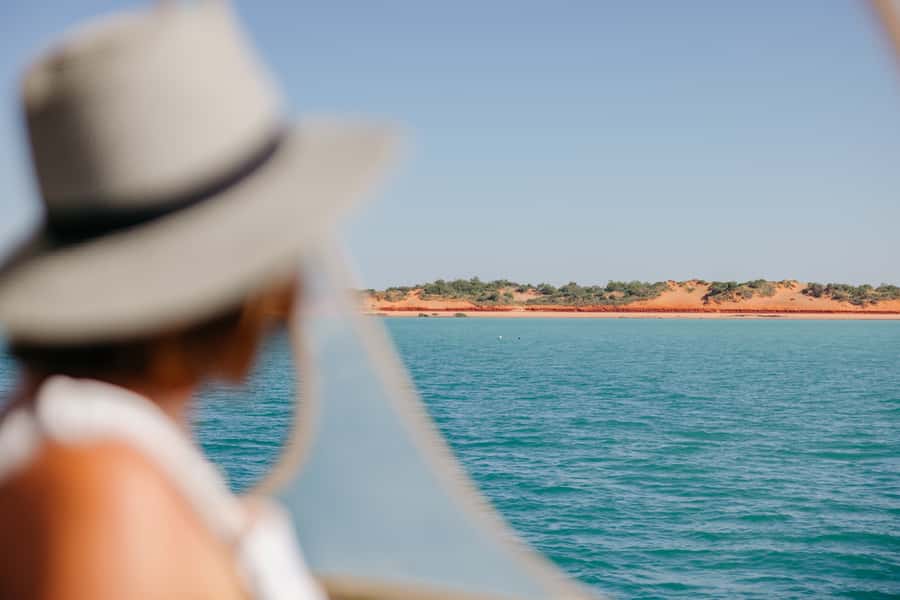 Broome: Snubfin Dolphin Cruises - Food and drink are part of the value