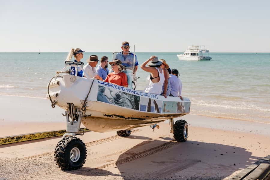 Broome: Snubfin Dolphin Cruises - The wildlife may be close, or it may not
