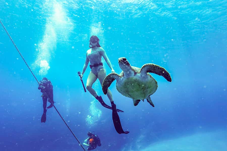Brunswick Heads: Snorkelling in Byron Bay - Should you book the Julian Rocks snorkelling tour?