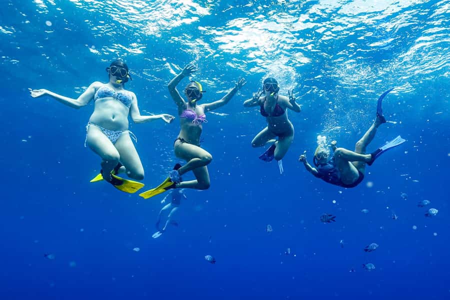 Brunswick Heads: Snorkelling in Byron Bay - Booking, cancellation, and what to pack